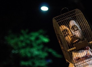 Comadança apresenta dois espetáculos em Alta Floresta neste fim de semana
