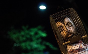 Comadança apresenta dois espetáculos em Alta Floresta neste fim de semana