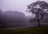 Vem aí o Festival Parque da Quineira em Chapada dos Guimarães