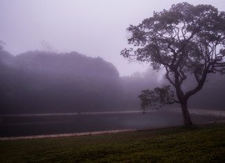 Vem aí o Festival Parque da Quineira em Chapada dos Guimarães