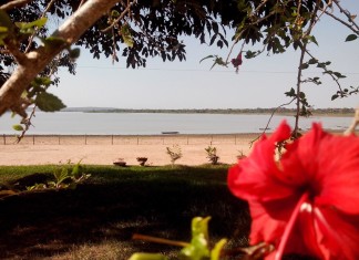 Baía do Chacororé: mundo azul de brumas pantaneiras