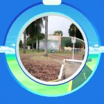 poke24