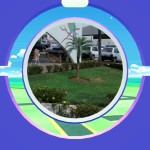 poke6