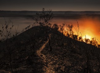 (Com)Sequências: fotos em chamas de Aruã Callil