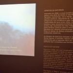 IMG_9101
