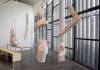 Incerteza viva: nós, a natureza e a arte na Bienal de São Paulo