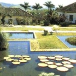 fazenda vargem grande – areias – sp