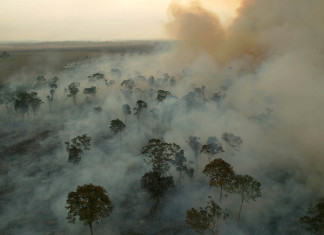 Pesquisadores da Unemat alertam sobre efeitos das mudanças climáticas