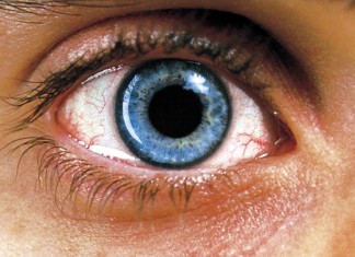 Requiem for a Dream: junkie movie que virou clássico