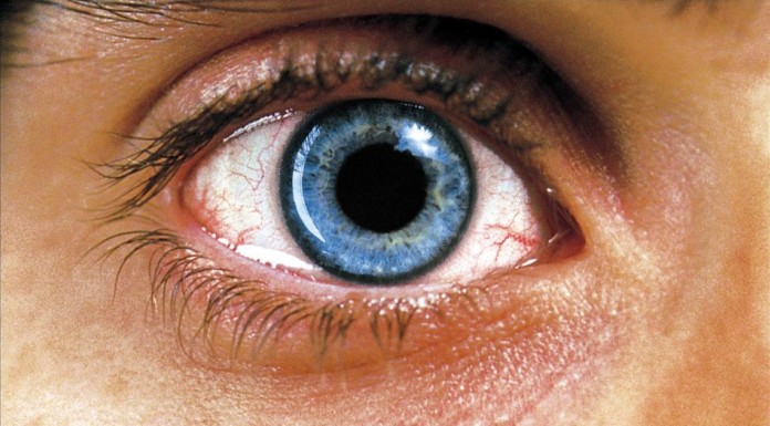 Requiem for a Dream: junkie movie que virou clássico