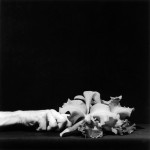 robert_mapplethorpe_curated_by_peter_marino_galerie_thaddaeus_ropac_x_y_z_3