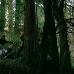 the-lobster-movie-trailer-images-stills