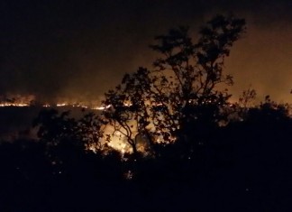 Olhos cerrados pela seca