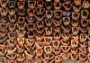 A falência do sistema carcerário brasileiro e da guerra às drogas