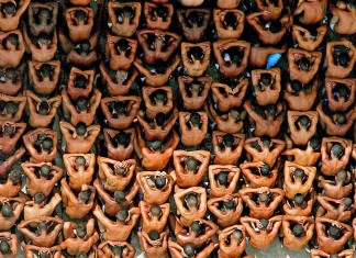 A falência do sistema carcerário brasileiro e da guerra às drogas