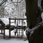 dsc_0140-kopie