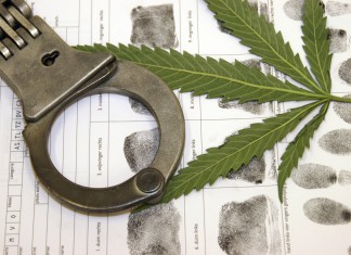 Inovações na Política de Drogas na América Latina