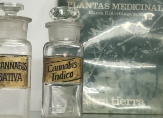 Museo del Cannabis Montevideo: uma planta paradoxal