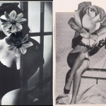 linder-sterling-collage-8
