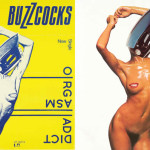 linder-sterling-promotional-poster-for-buzzcocks-orgasm-addic