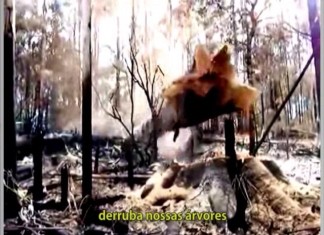 Videoclipe: Stihl Corporation