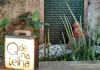 Qdernatelha transforma coletivo e economia criativa em realidade