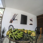 DCIM100GOPROGOPR3163.