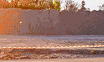 banner_almt_issoelei_670x90_02