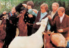 Beach Boys e o reverenciado Pet Sounds