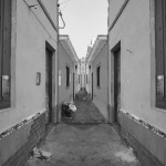 dsc_98420