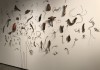 O contraditório: O direito ao direito de defesa de Rafael Braga na exposição Osso