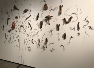 O contraditório: O direito ao direito de defesa de Rafael Braga na exposição Osso