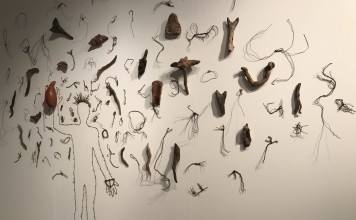 O contraditório: O direito ao direito de defesa de Rafael Braga na exposição Osso