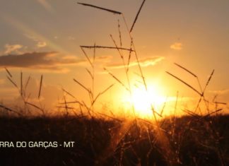 TV de Quinta(L) | Barra do Garças – MT