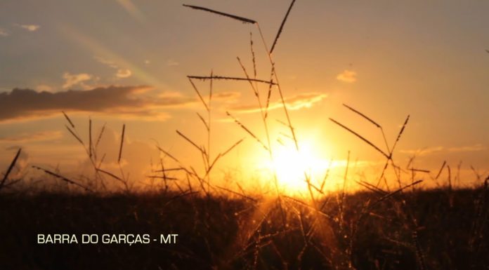TV de Quinta(L) | Barra do Garças – MT