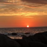 1FBEACFA-1AA5-4853-BD61-A7D6EE65E83D