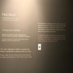 656EA6E0-688B-45C7-BAFE-18814B679A7A