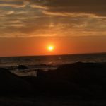 C82E1366-E804-439D-8A00-0603C6A9619B