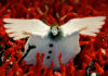 A poesia sem fim de Jodorowsky