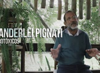 TV de Quinta(L) entrevista Wanderlei Pignati