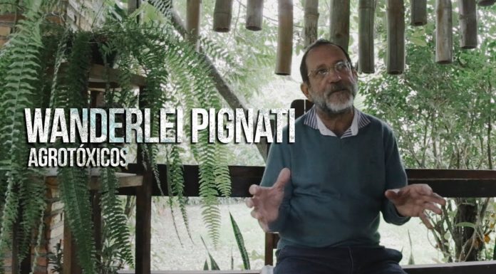 TV de Quinta(L) entrevista Wanderlei Pignati