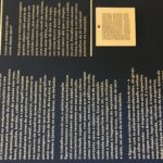 IMG-6987
