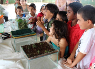 Por uma educação ambiental transformadora e revolucionária
