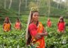 Ecofeminismo: um movimento que quer mudar o mundo