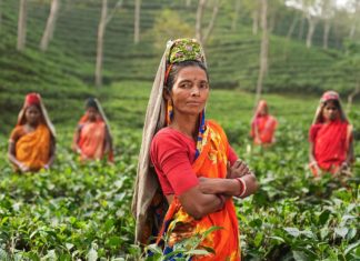 Ecofeminismo: um movimento que quer mudar o mundo