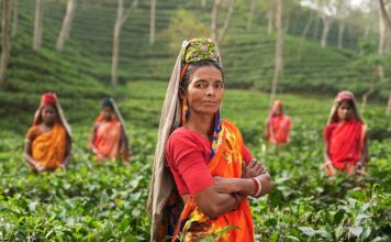 Ecofeminismo: um movimento que quer mudar o mundo
