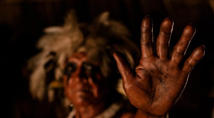 Desconstruindo colonialidades com Genipapos