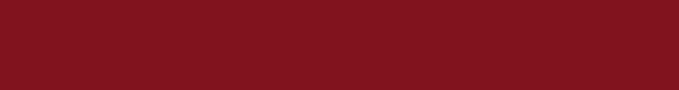 banner_almt_voto_consciente_679x90