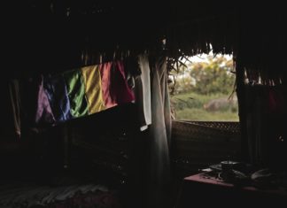 Roteiro cultural: Tudo sobre mulheres, encerramento do Cinecaos e Aldeia Guaná!