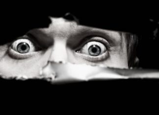 “Culpa, medo e ganância”
